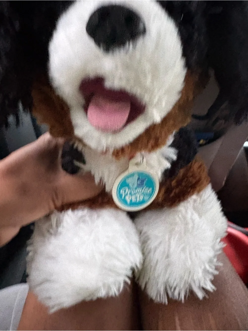 Promise Plush Dog Toy in White, Black, Brown with Pink Tongue